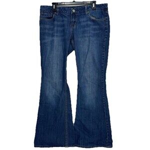 American Eagle Outfitters Blue Flare Jeans